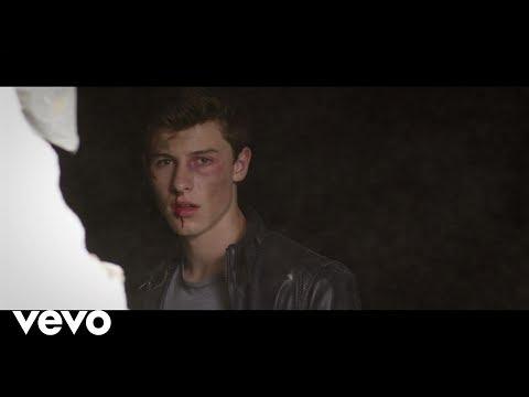 Shawn Mendes - Stitches (Official Video)